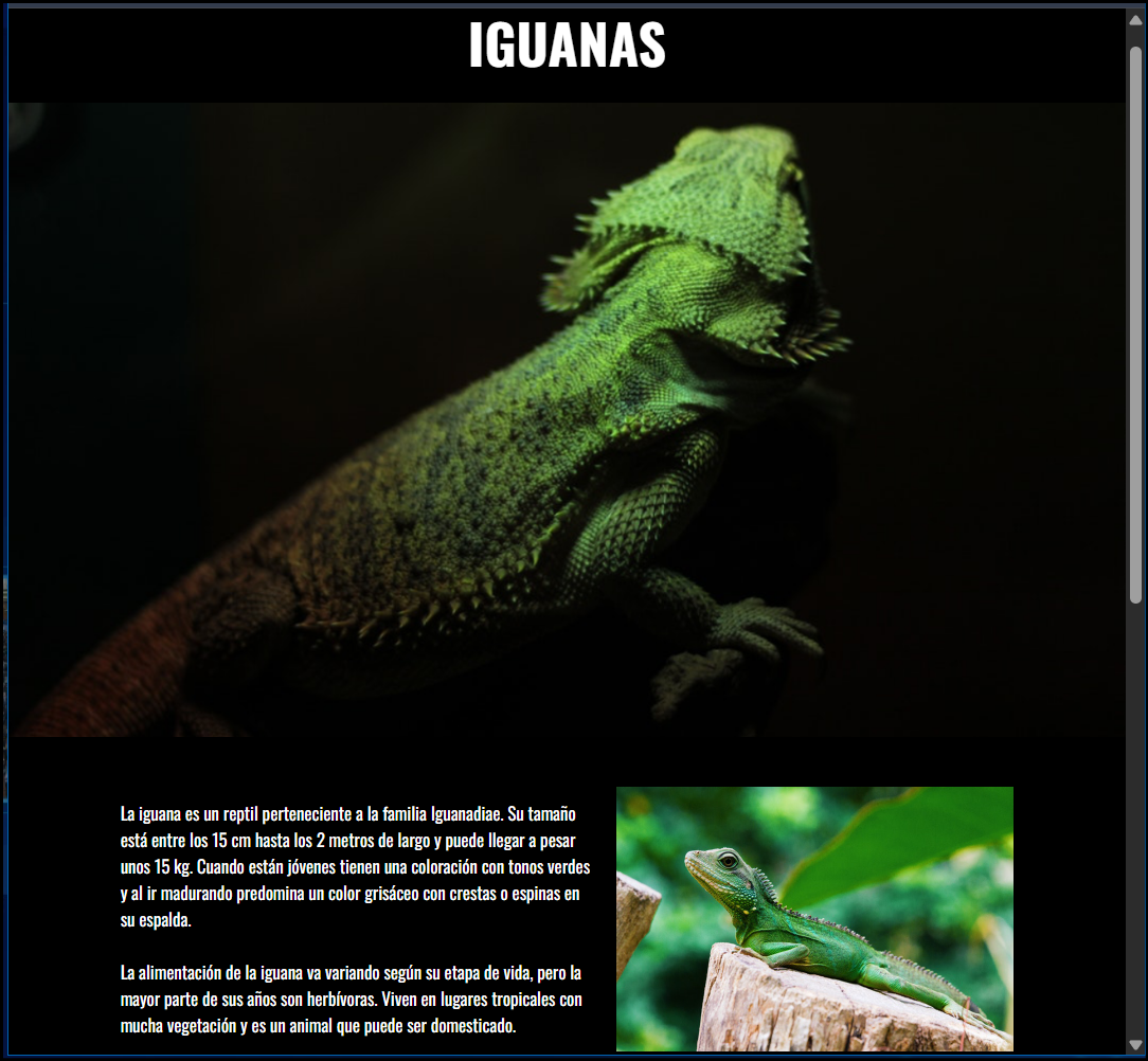 Screenshot de Proyecto Iguana